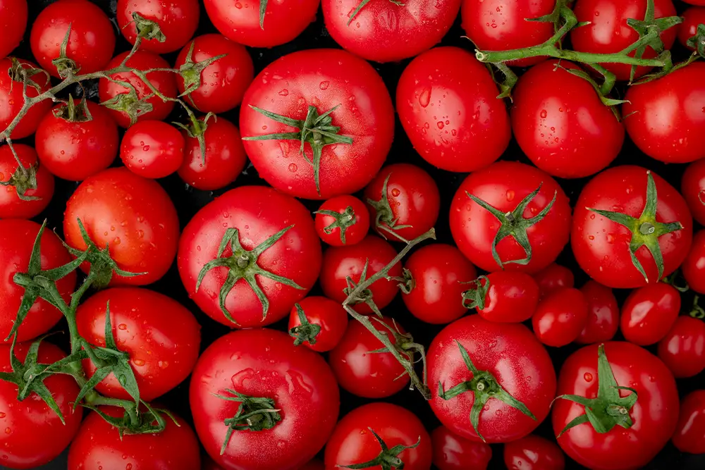 Antioxidants + Vitamins