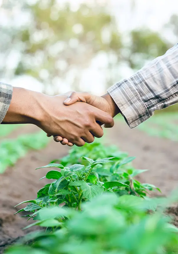 Direct from partner farms