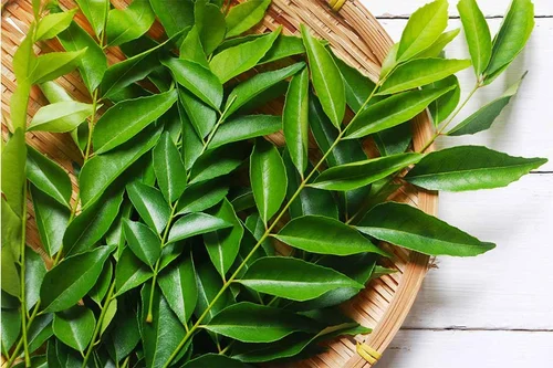Curry Leaf