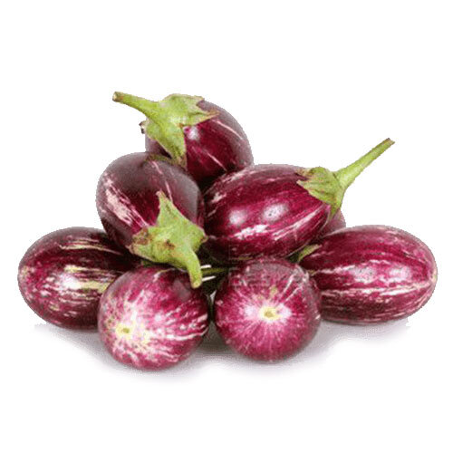 Brinjal - Nagpur