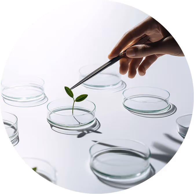 Lab testing of plant samples