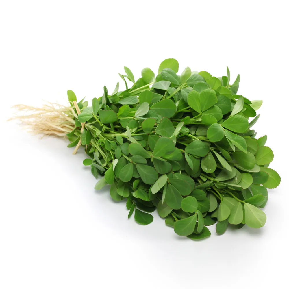 Fenugreek