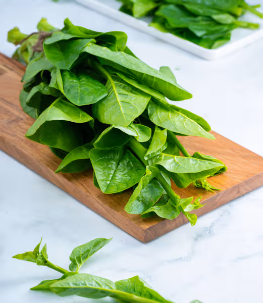 Indian / Malabar Spinach