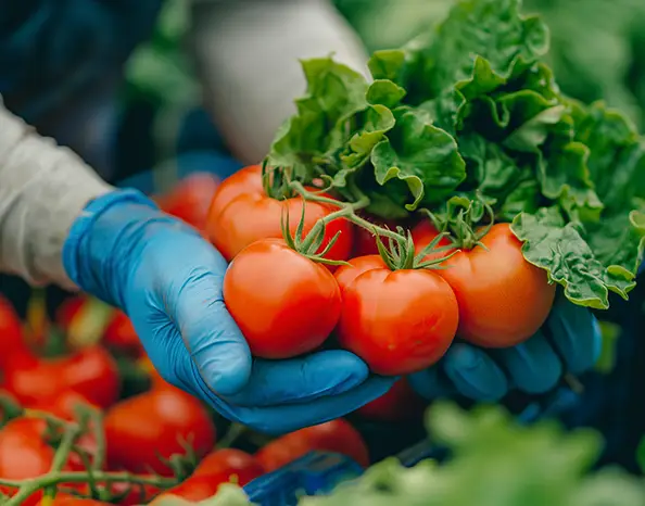 Why fresh-looking vegetables sometimes carry <em class="serif">unsafe pesticide residues</em>