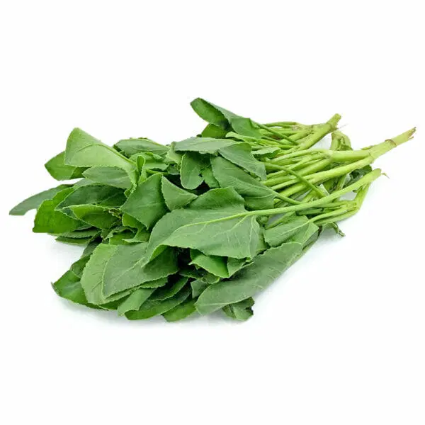 Garden Sorrel