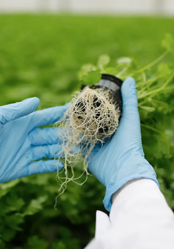 Documented Crop Care