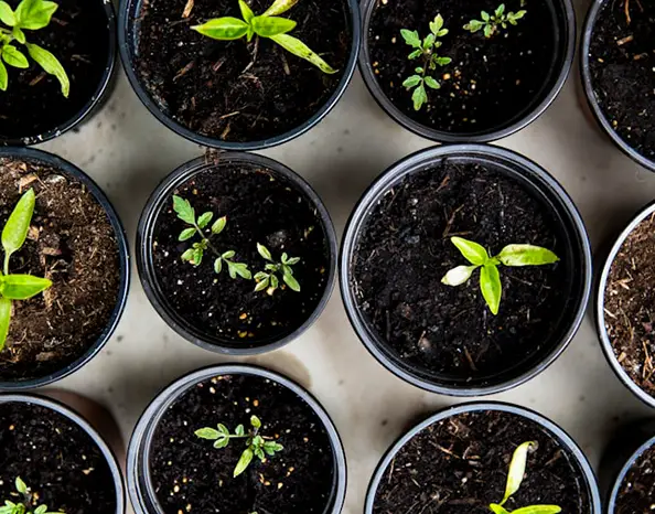 What is a Pre-Harvest Interval (PHI) &mdash; and why does it matter?