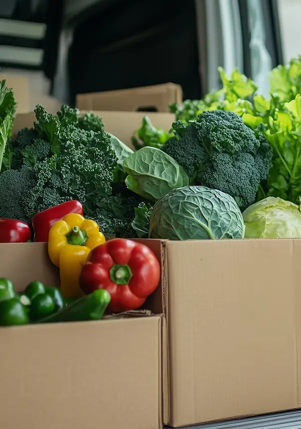 Fresh Harvests
